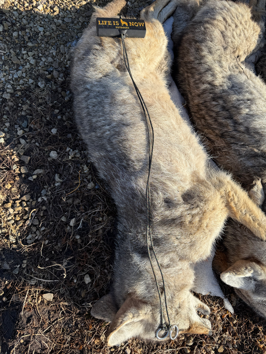 Life is Now Outdoors Block Hand Drag