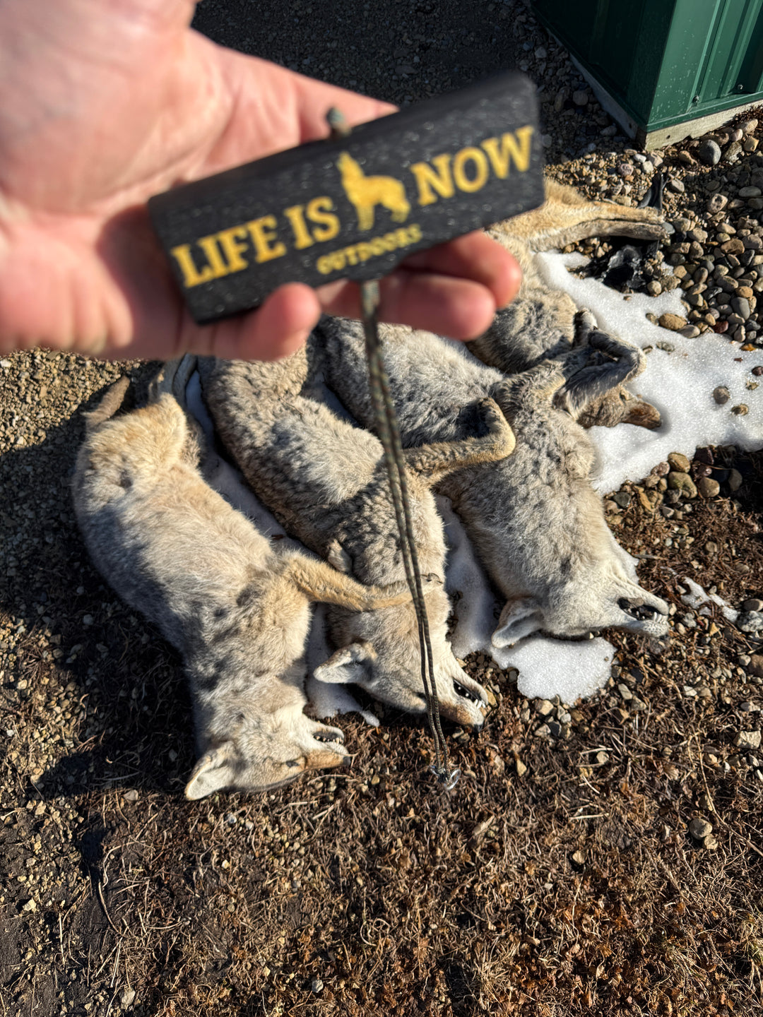 Life is Now Outdoors Block Hand Drag