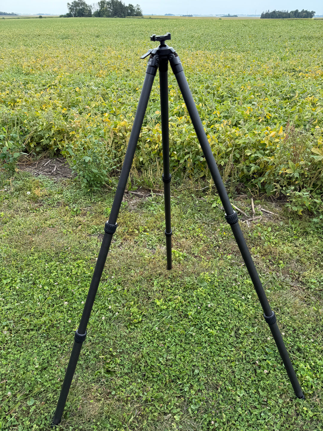 LiniGear HT-40CS Carbon Fiber Tripod with Anvil style head w/arca and pic rail connection
